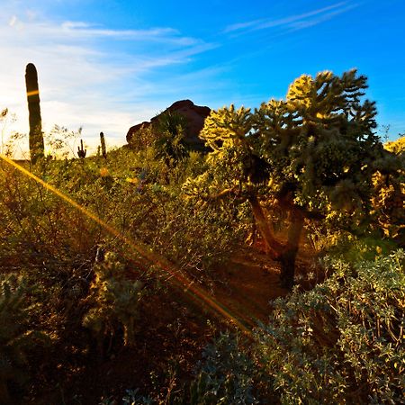 Holiday Inn Express & Suites - Phoenix - Airport North By Ihg Экстерьер фото