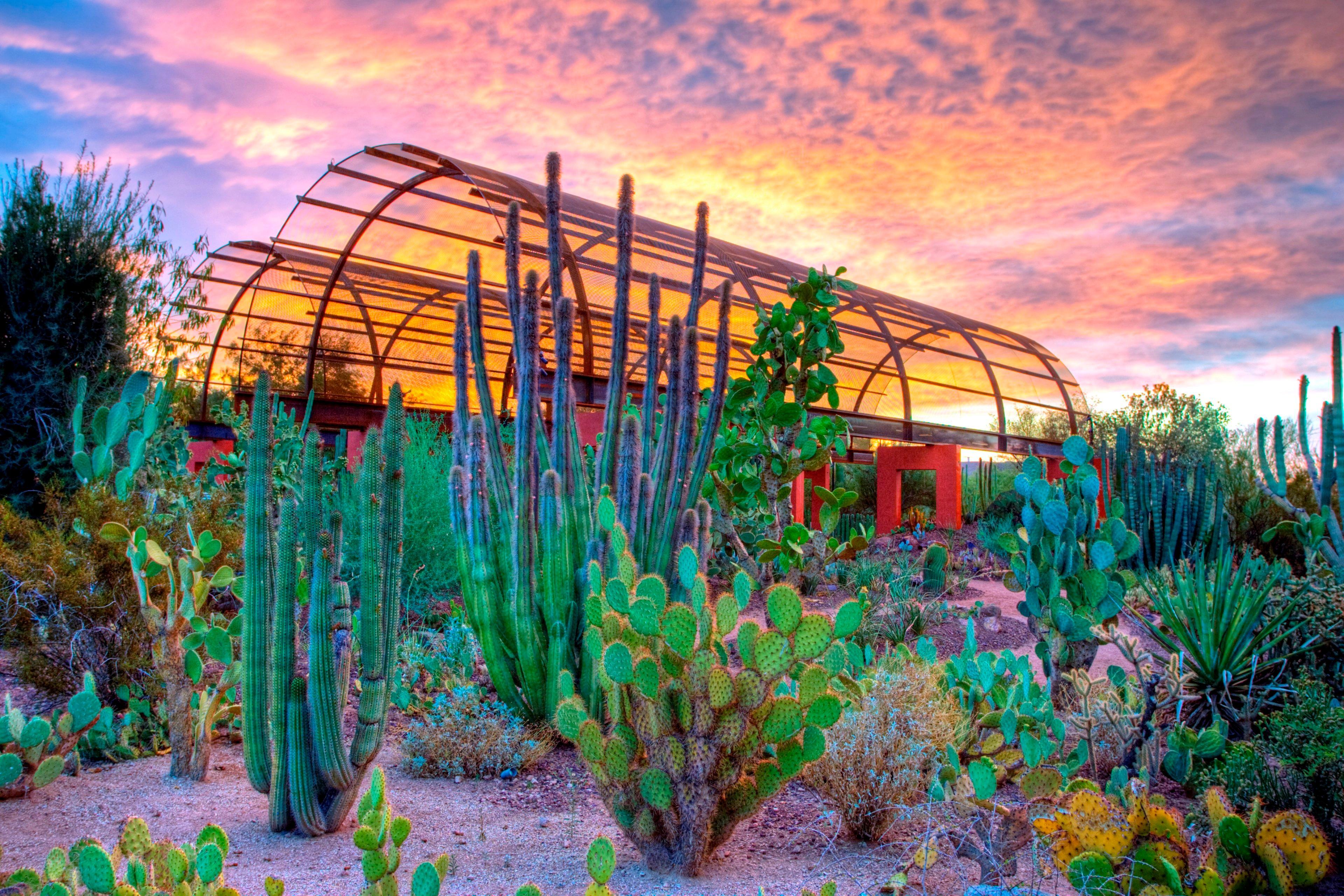 Holiday Inn Express & Suites - Phoenix - Airport North By Ihg Экстерьер фото